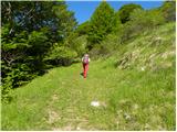 Planina Kuhinja - Planica below Krn